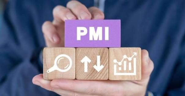 India August PMI Shows Services Recovery as Manufacturing Growth Slumps india-august-pmi-sho_1787319535561638013.webp