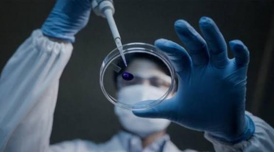 PI Industries Unveils India's First Indigenous Insecticide Pioxaniliprole pi-industries-unveil_179334008177264663.webp