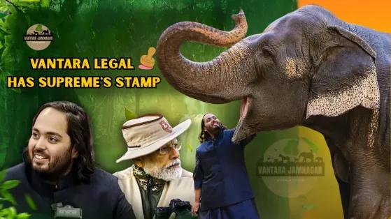The Comprehensive Investigation of Vantara by SIT and Supreme Court Verdict – A Landmark Decision in Animal Welfare and Conservation in India the-comprehensive-in_1758027931324669939.webp