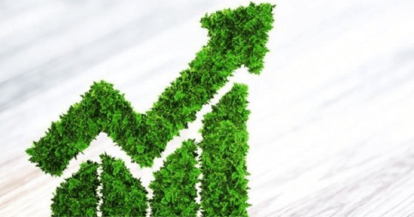 The Rise of Green Finance and Sustainable Investment Strategies the-rise-of-green-fi_1779446200819561755.webp