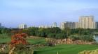 Gurugram Luxury Housing Developers Line Up ₹1 Lakh Crore Festive-Season Launch Pipeline gurugram-luxury-hous_1788804309882390583.webp