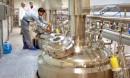 Indian Pharmaceutical Industry: From API to Formulation Guide indian-pharmaceutica_1781603664985819342.webp