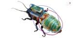 innovations-latest-advancement-is-actually-a-remote-controlled-robot-cockroach_1664464311284857837.webp