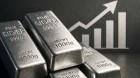 Silver Import Restrictions Impact India's Luxury Jewellery Industry Amid Changing Trade Policies silver-import-restri_1784799405997470634.webp