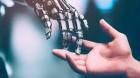 The Rise of Artificial Intelligence in Everyday Business the-rise-of-artifici_1780137701623530883.webp