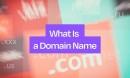 What Is a Domain Name? How It Works, Types and Why It Matters what-is-a-domain-nam_1783797824509630193.webp